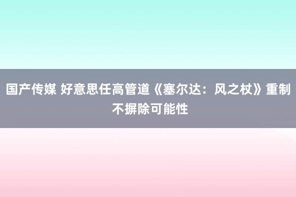 国产传媒 好意思任高管道《塞尔达：风之杖》重制 不摒除可能性