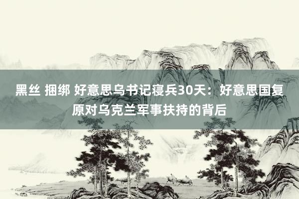 黑丝 捆绑 好意思乌书记寝兵30天：好意思国复原对乌克兰军事扶持的背后