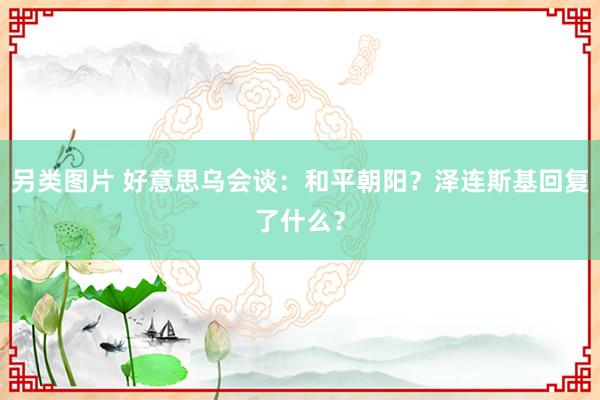 另类图片 好意思乌会谈：和平朝阳？泽连斯基回复了什么？