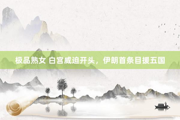极品熟女 白宫威迫开头，伊朗首条目援五国