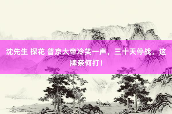 沈先生 探花 普京大帝冷笑一声，三十天停战，这牌奈何打！