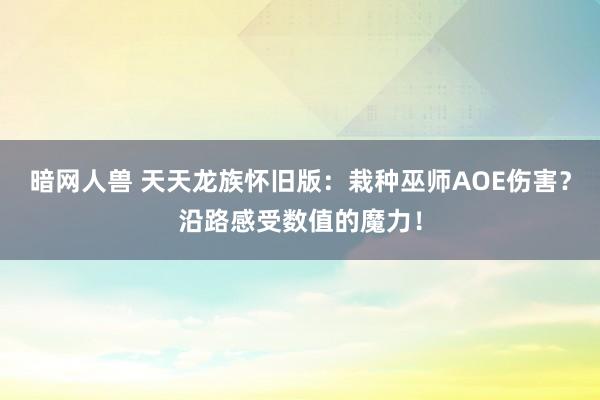 暗网人兽 天天龙族怀旧版：栽种巫师AOE伤害？沿路感受数值的魔力！